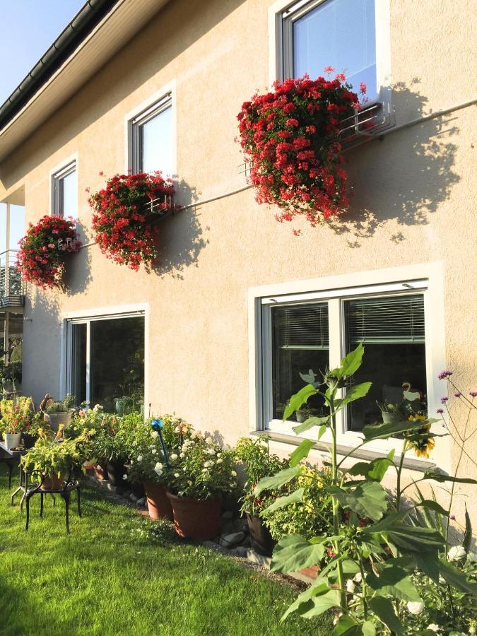 Haus Gies Apartment *