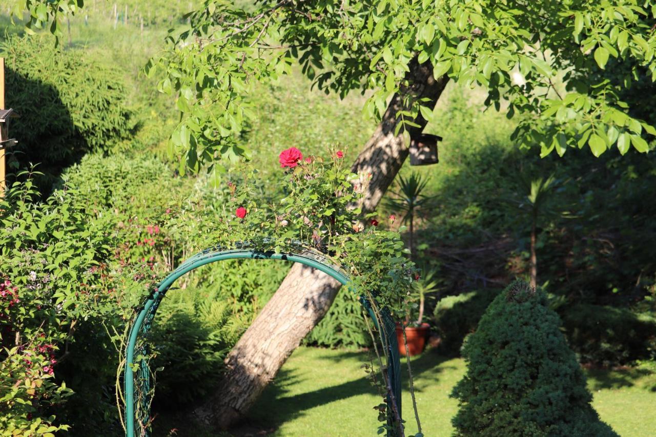 #5 Mit Balkon - Zentrale Dennoch Ruhige Lage Mit Terrasse - Stadtbus Vor Der Tuer!