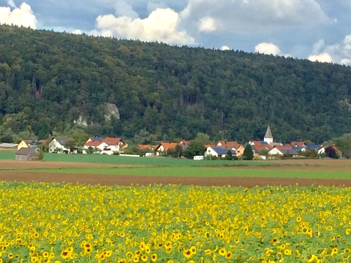 Idylle I An Der Donau Apartment