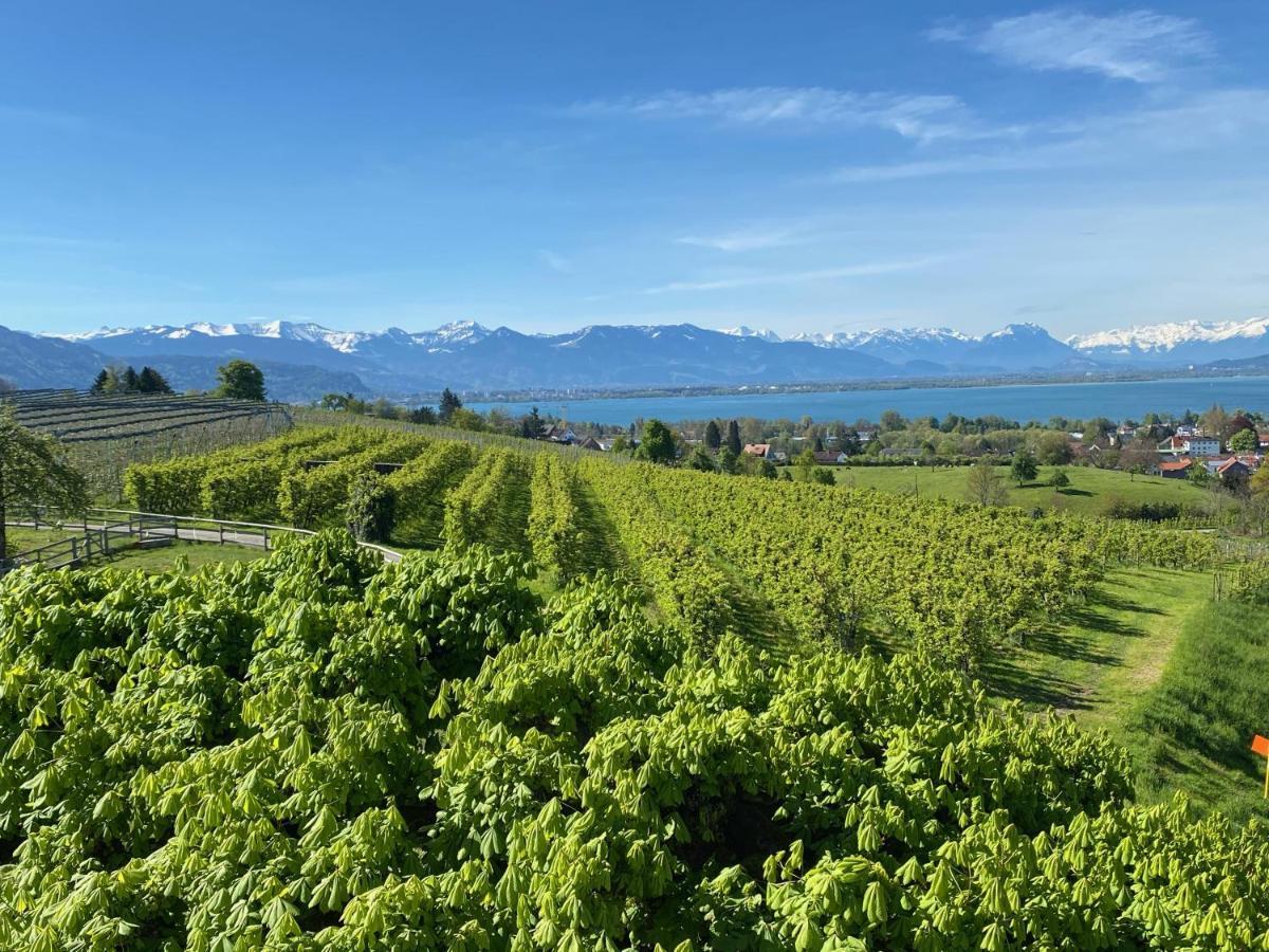 Montfort-schloessle Lindau (Bodensee)