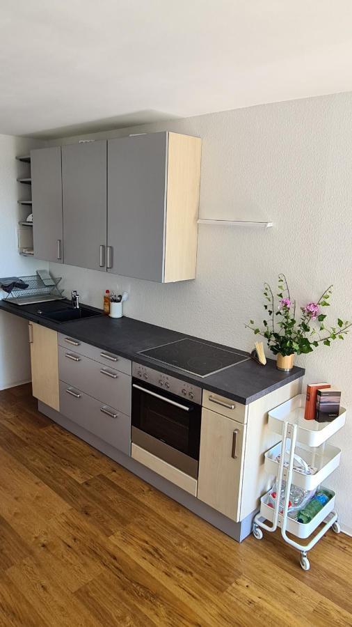Apartment Seeschoen Lindau - Direkt Vor Der Insel Lindau (Bodensee)