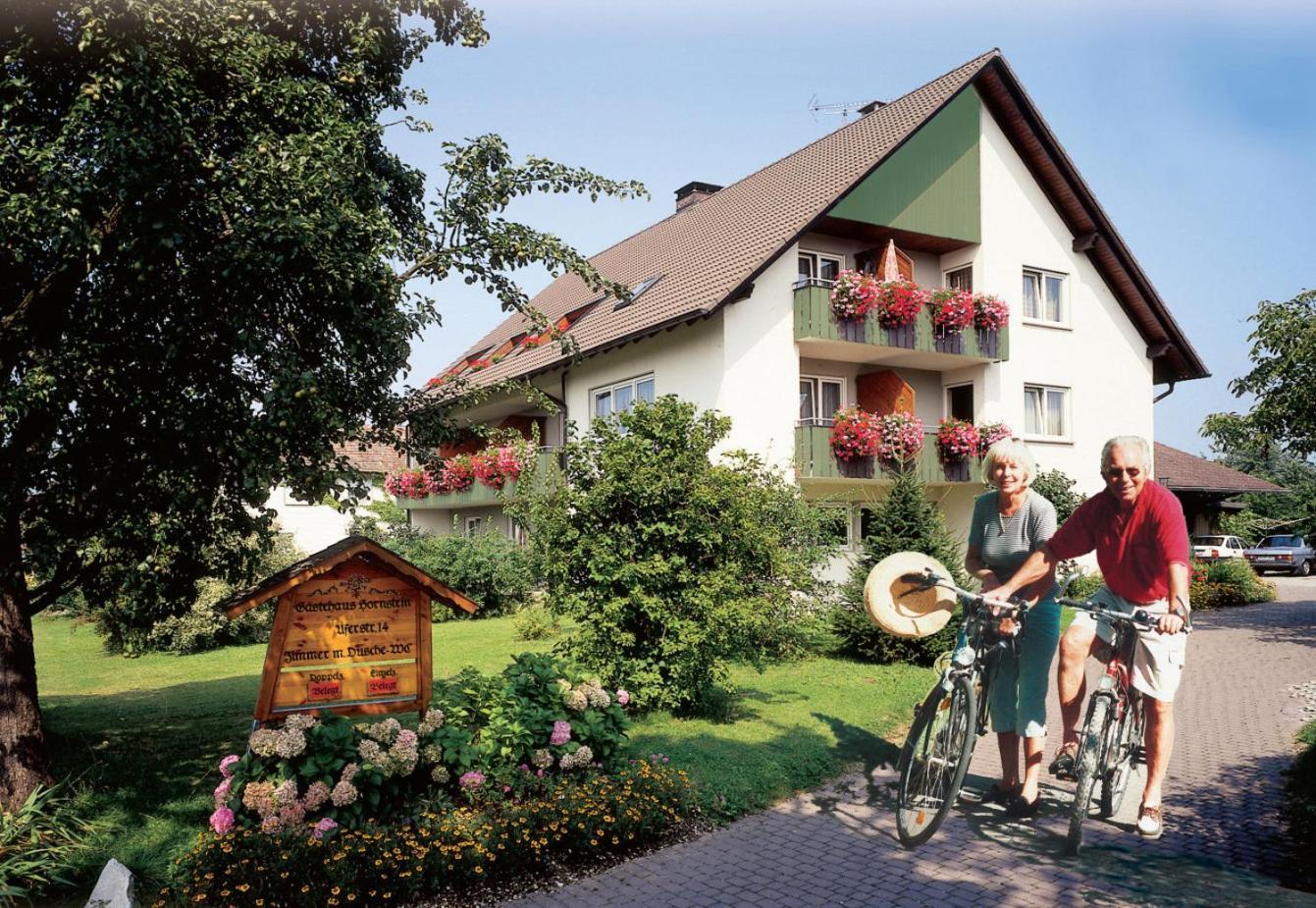 Hotel Hornstein 3*