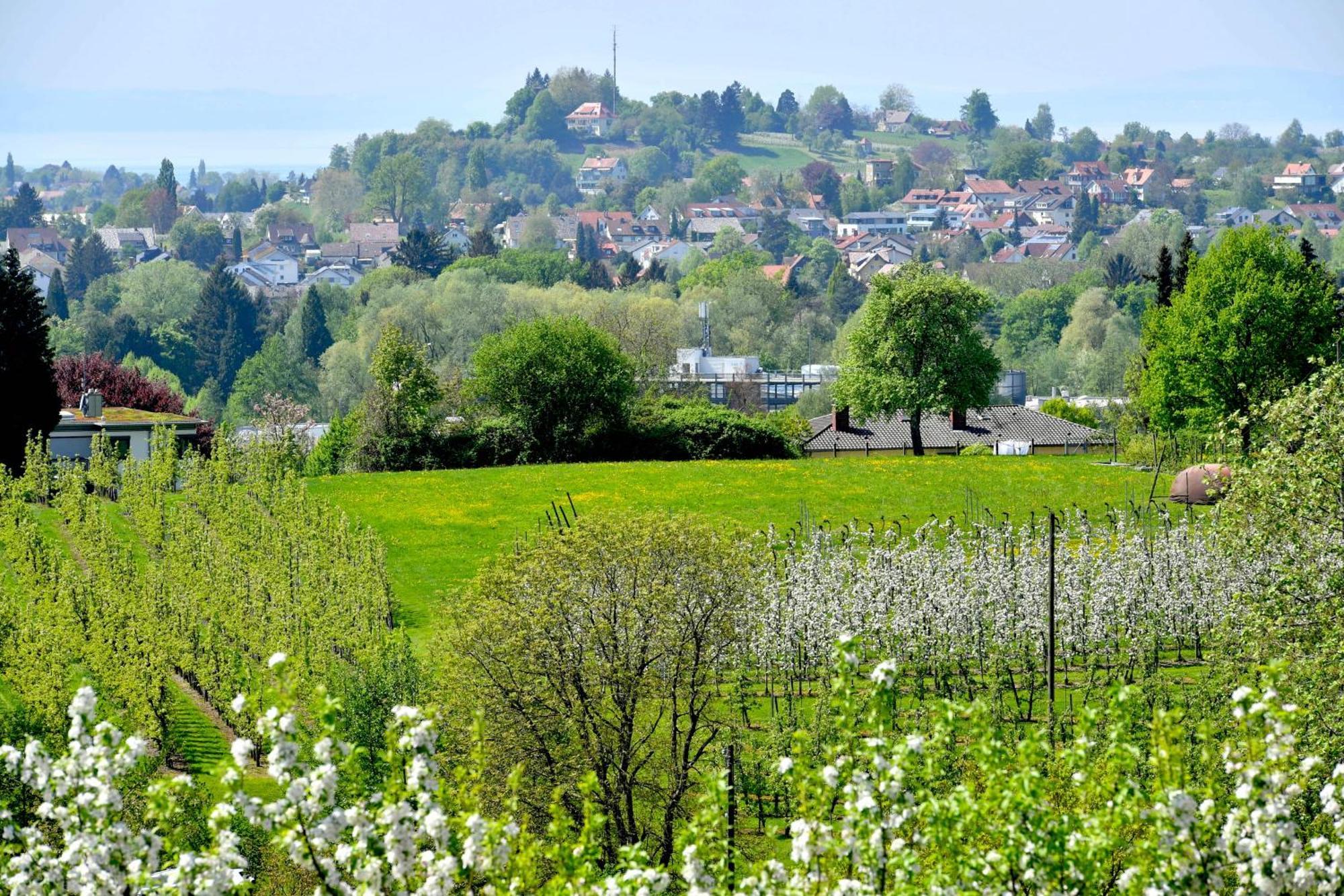 Hotel Montfort-schloessle