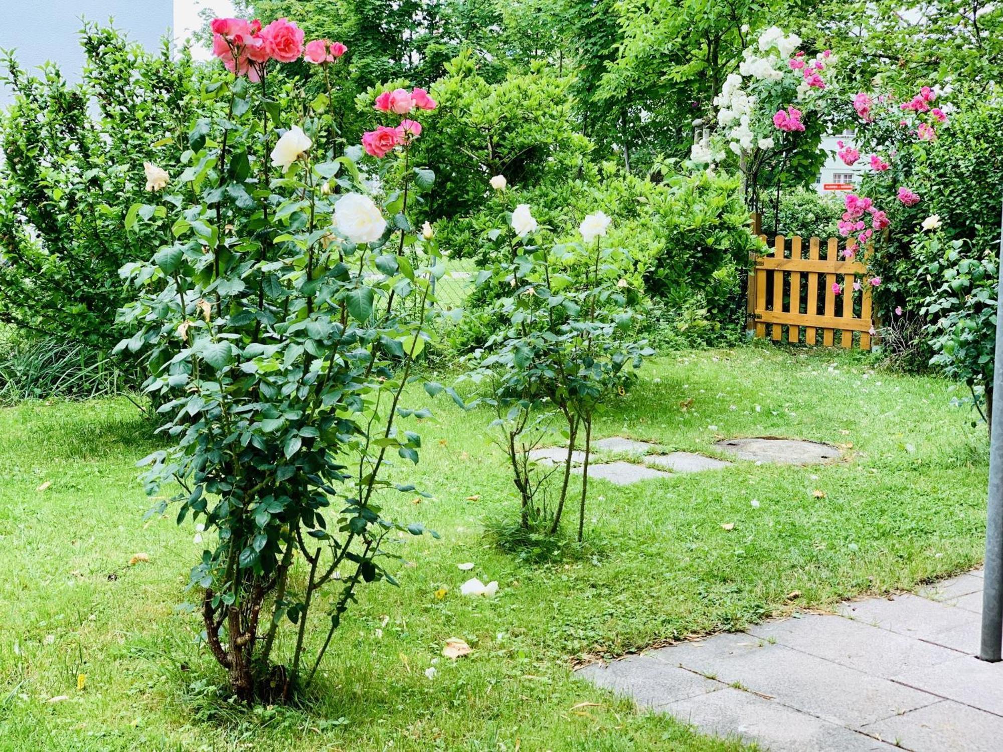 Apartment H.n.h. Lindau (Bodensee)