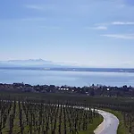 Am Badischen Weinberg