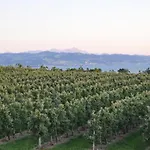Ferienwohnung Weinbergblick