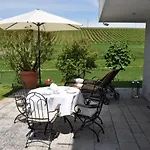 Ferienwohnung Weinbergblick