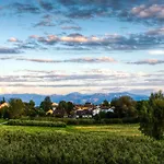 Alpenblick 1