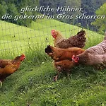 Muehlenhof