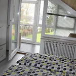 Blick Ins Gruene