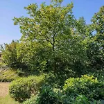 Ferienwohnpark Immenstaad Am Bodensee Ein-Zimmer-Apartment 51 10