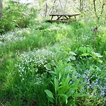 Natururlaub Frankenau