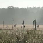 Ferienwohnung-1-Im-Landhaus-Am-Wildpark-Boek