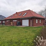 Nemo