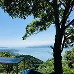 Blick Ins Gruene