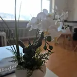 Seestudio Mit Toller Aussicht Am Bodensee