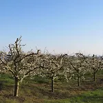 Seetraum Berger