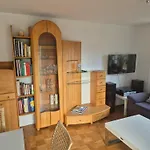 Seeschwalbe