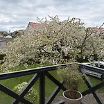 Apartes Studio Am See