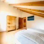 Enjoy Mal - Apartments