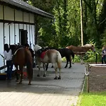 Birkenhof Trepte