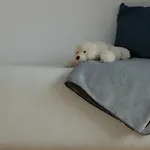 Ferienwohnung Elsa