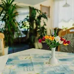 Pension Haus Vogelsang