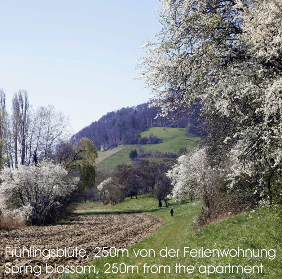 750m Zum Bodensee - Passivhaus In Naturnaher Ortsrandlage - Neubau 2019 Apartment