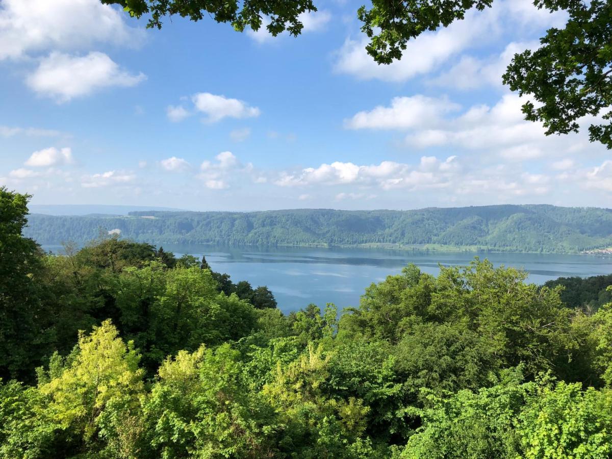 Haid Bodensee, Umgebung Bodman-ludwigshafen, Radolfzell, Ueberlingen, Luxus Haid Stockach