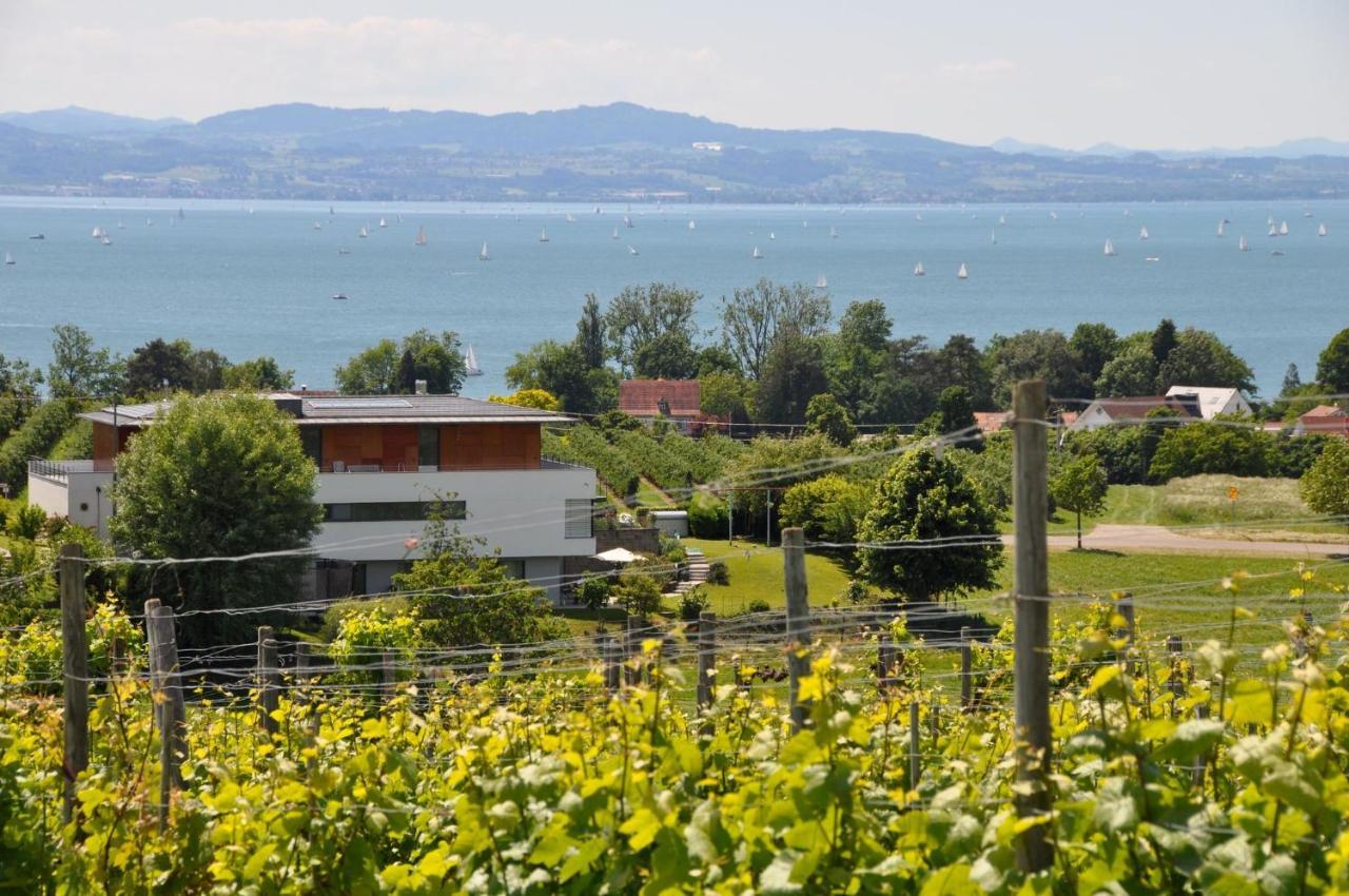 Weinbergblick Kressbronn am Bodensee