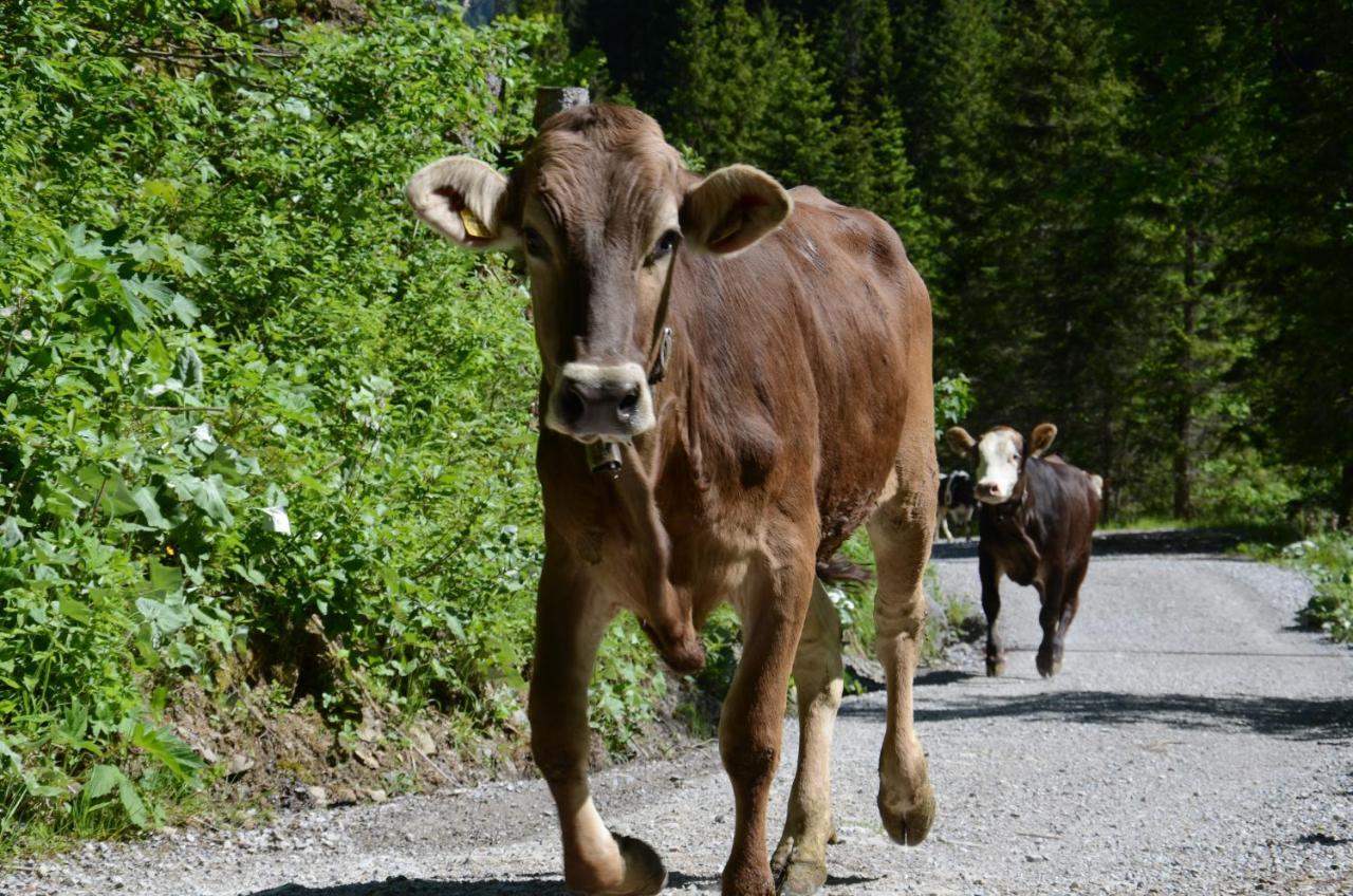 Ifen Blick Apartment Mittelberg