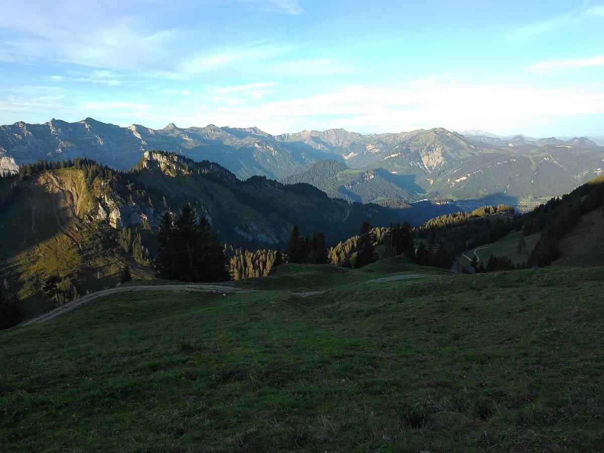 Tolles Einfamilienhaus Nahe Dem Bodensee *