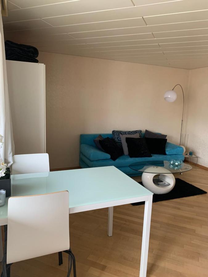 Bodensee Apartment Horn