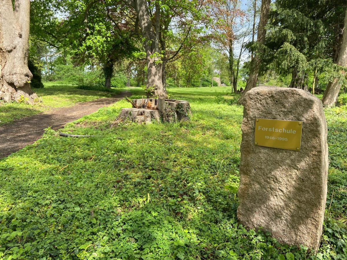 Friedrich Am Schweriner Apartment *