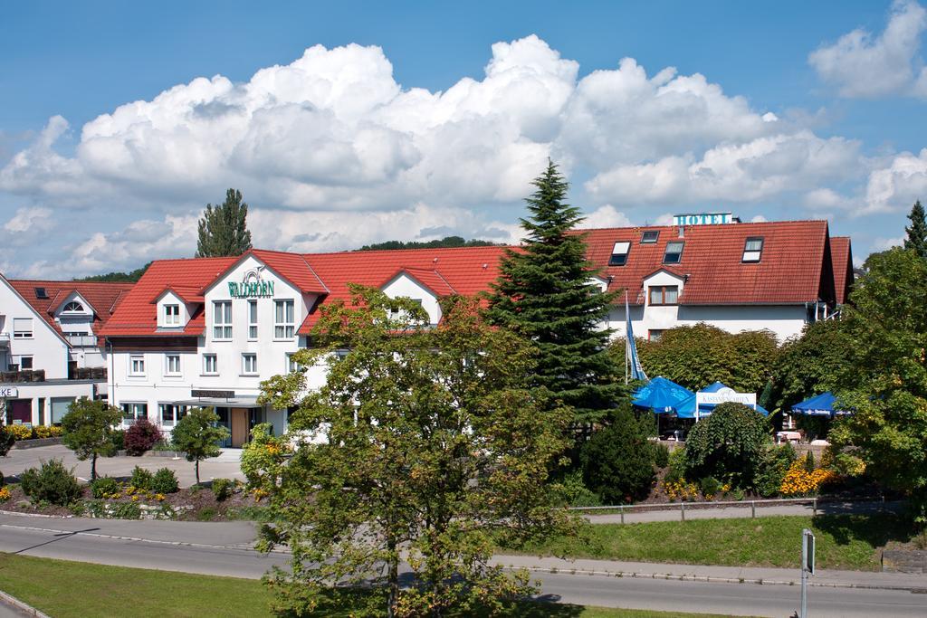 Waldhorn