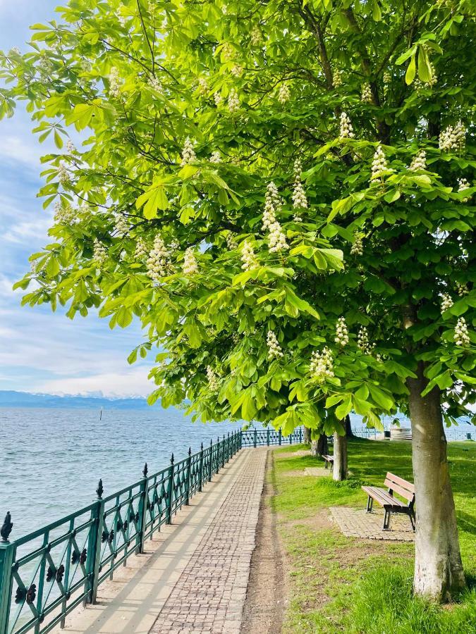 Sunshine Am Apartment Friedrichshafen