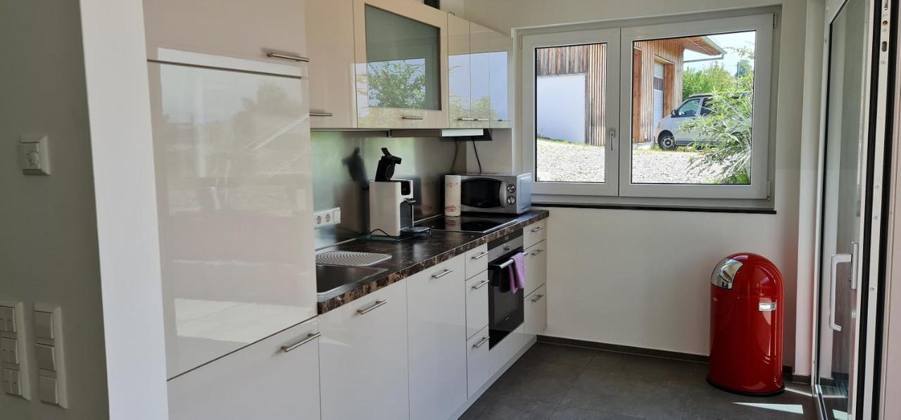 Alpenblick 1 Apartment Bodolz