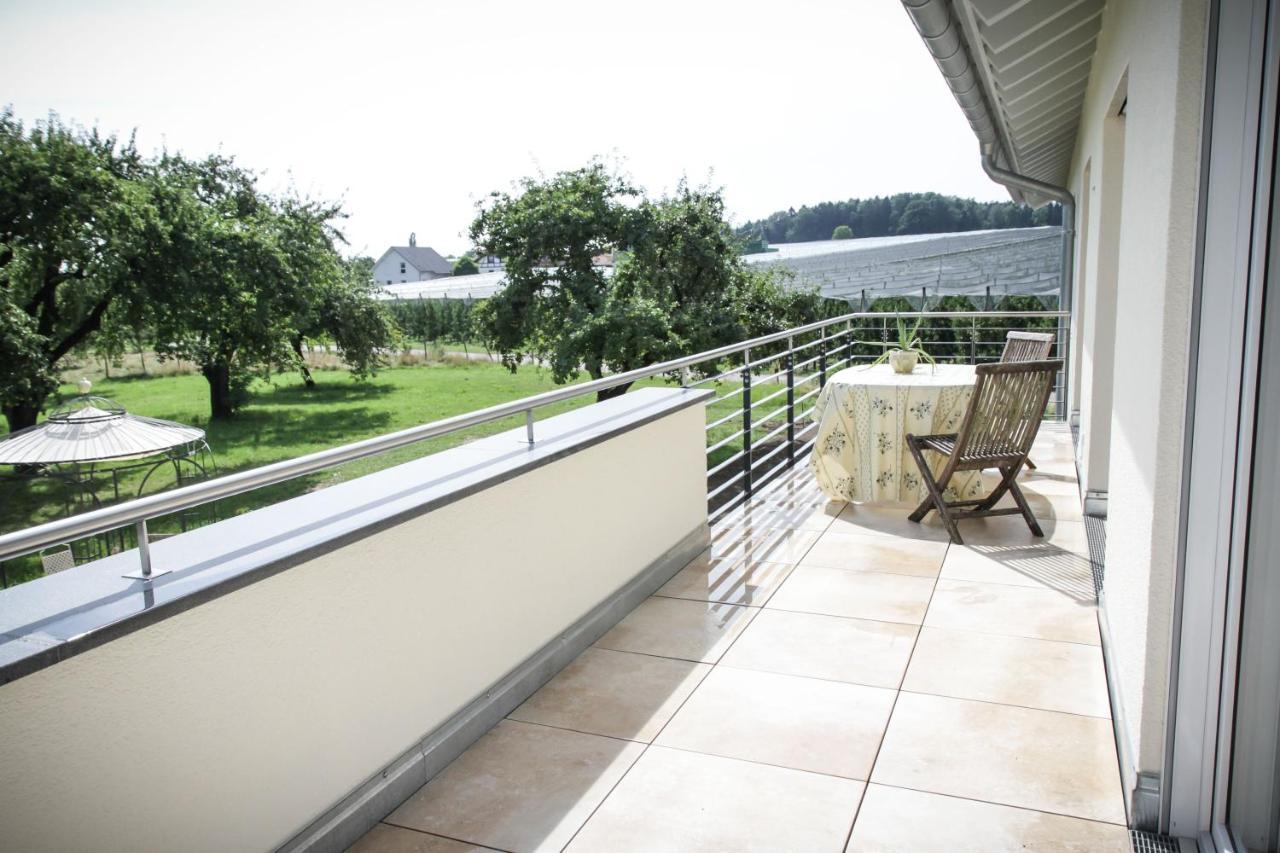 Apartment Wunderschoene, Helle 3-zi-whg Mit Grossem Balkon Friedrichshafen