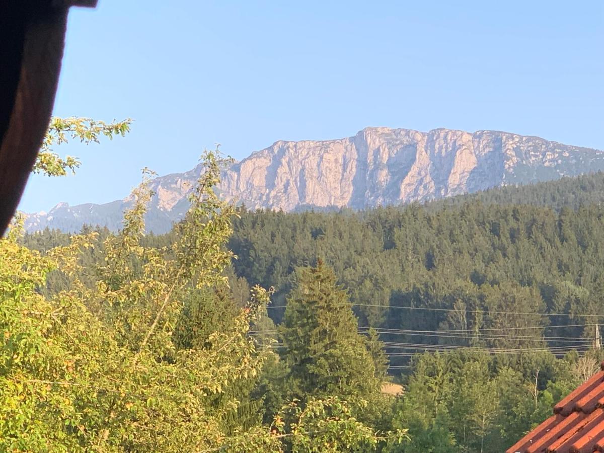 Am Alpenwarmbad Apartment *