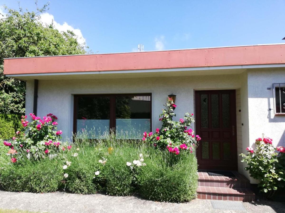 Holiday home Haus Steen Achtern Diek *