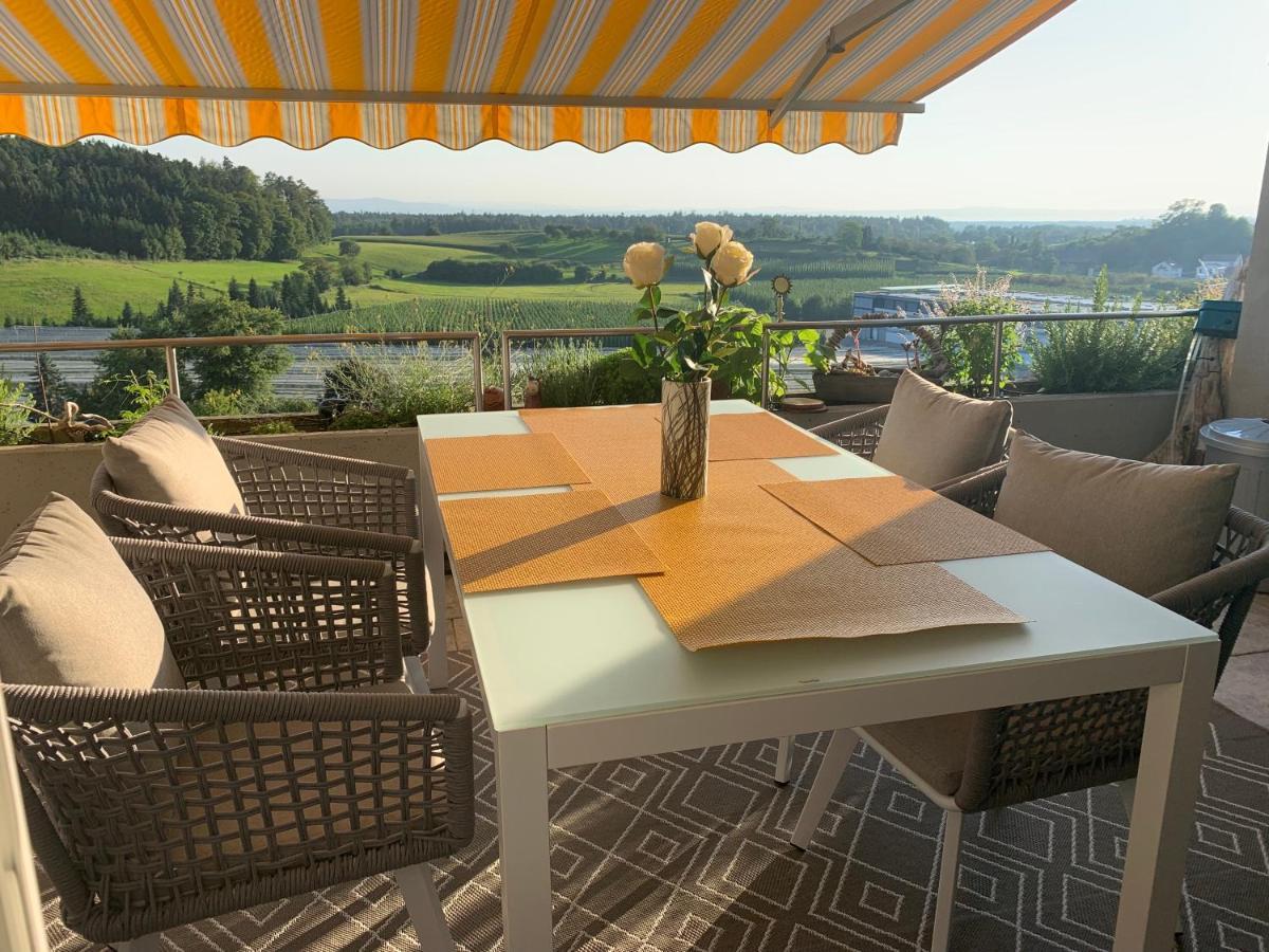 Hochwertige Sonneninsel Mit Aussicht Tettnang