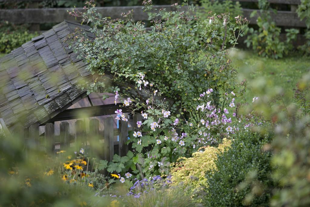 Landhaus Alpina Guest house Mittersill