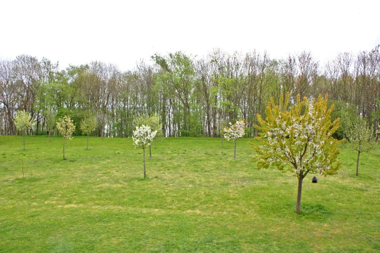 Apartment 5930 Klink