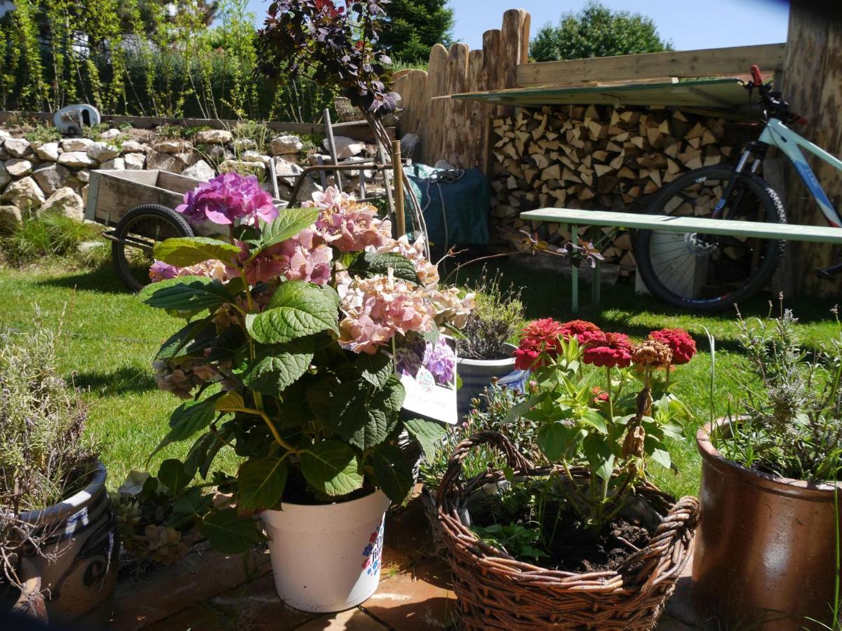 Guest house & Cafe Schlupfwinkel Salem (Baden-Wurttemberg)