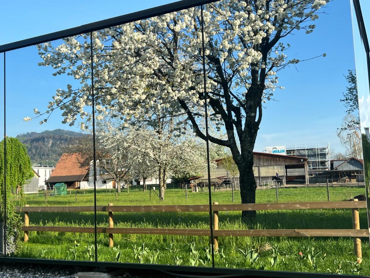 Pur & Erlebnisurlaub Im Spiegelhaus Oeoed