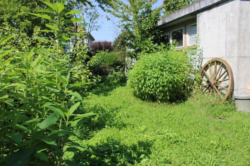 Apartment Erholung Mit Seesicht, Terrasse Und Garten *