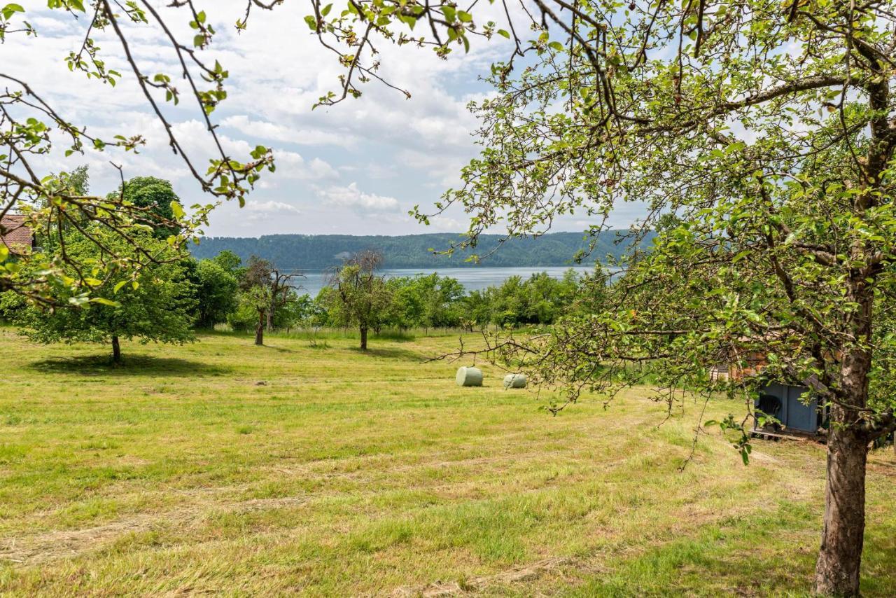 Seeblick Apartment Sipplingen