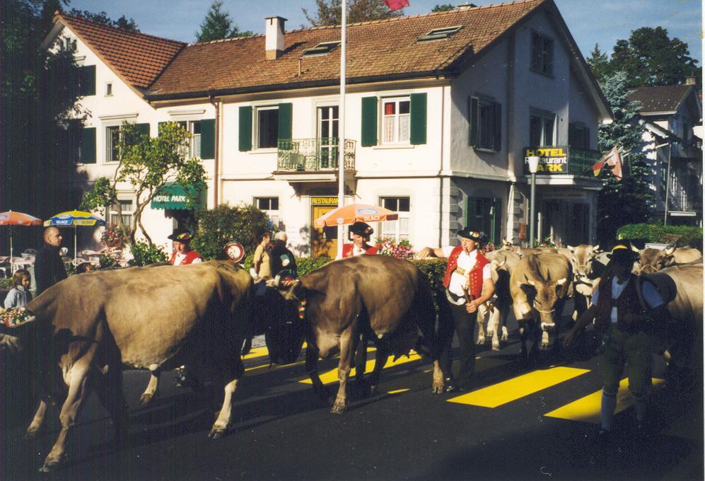 Park Gasthof
