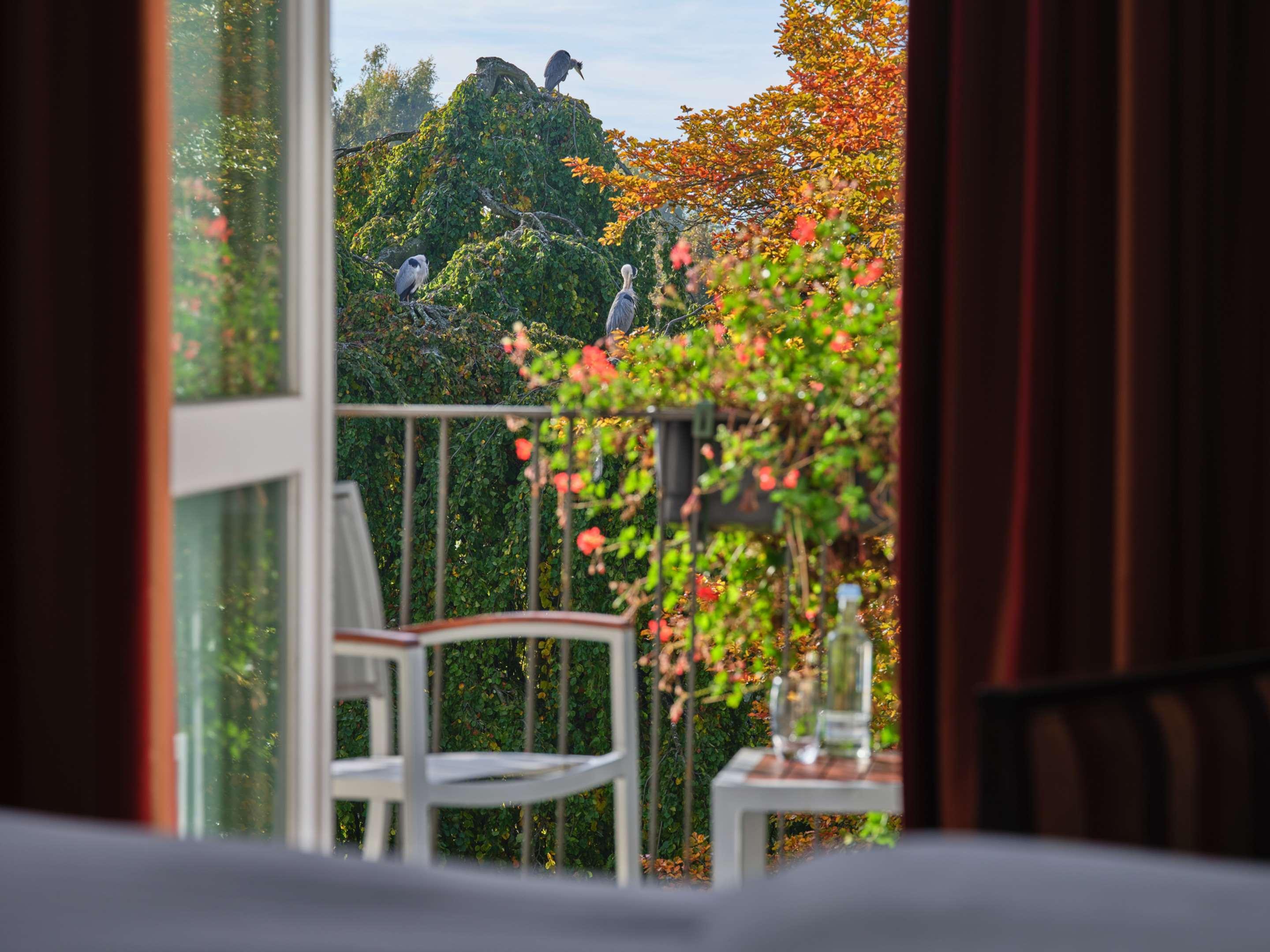Steigenberger Inselhotel Hotel Konstanz