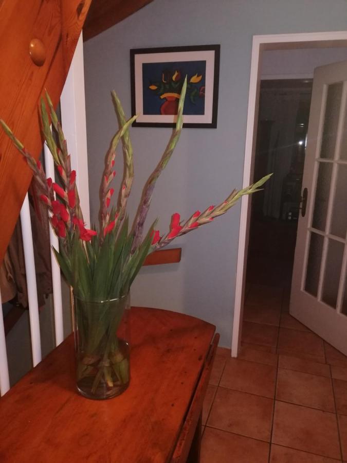 Apartment Haus Garten